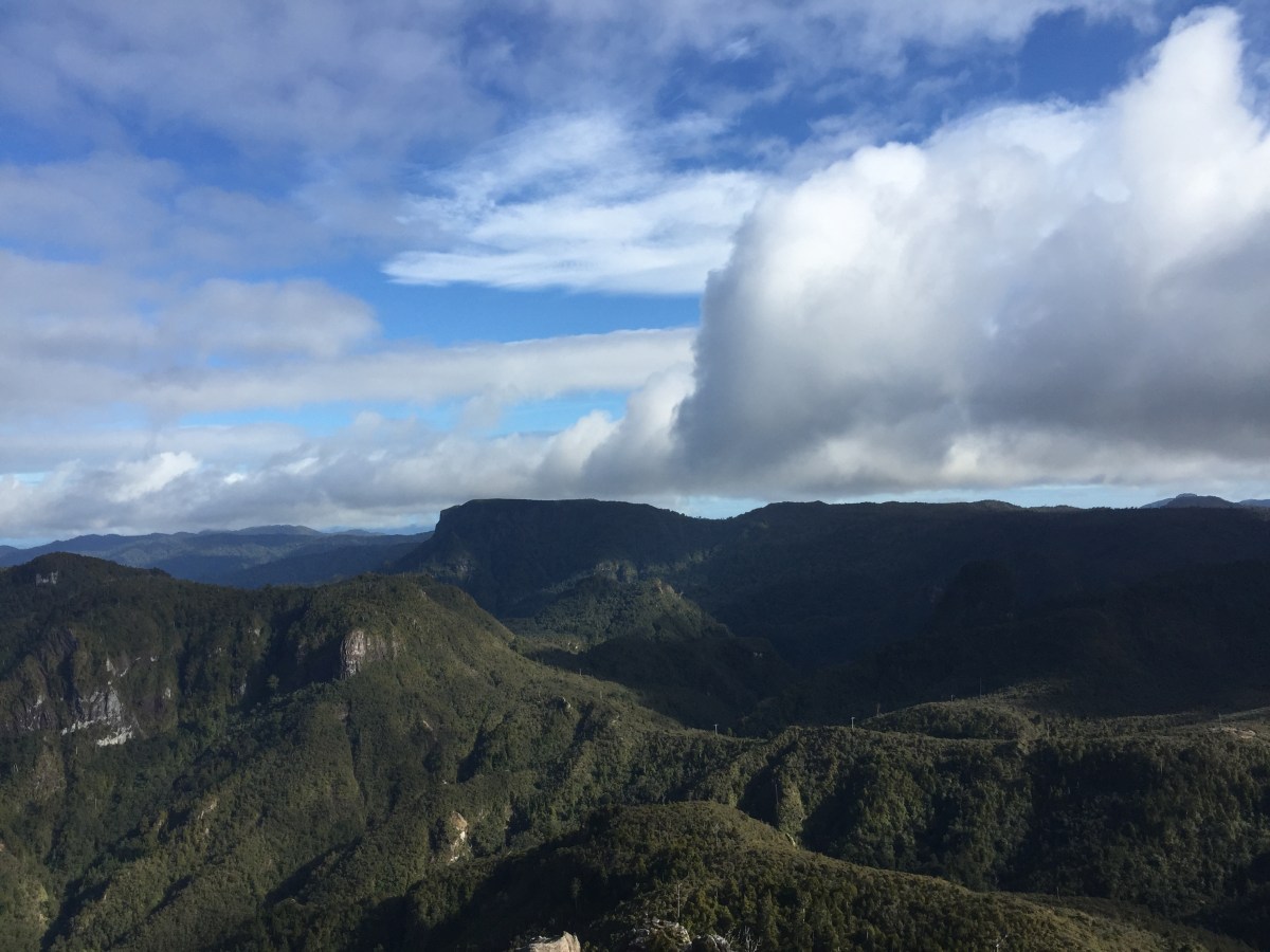 Finding Paradise in Winter, Coromandel